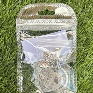 Silver Pet Memorial Keychain with Paw Charms